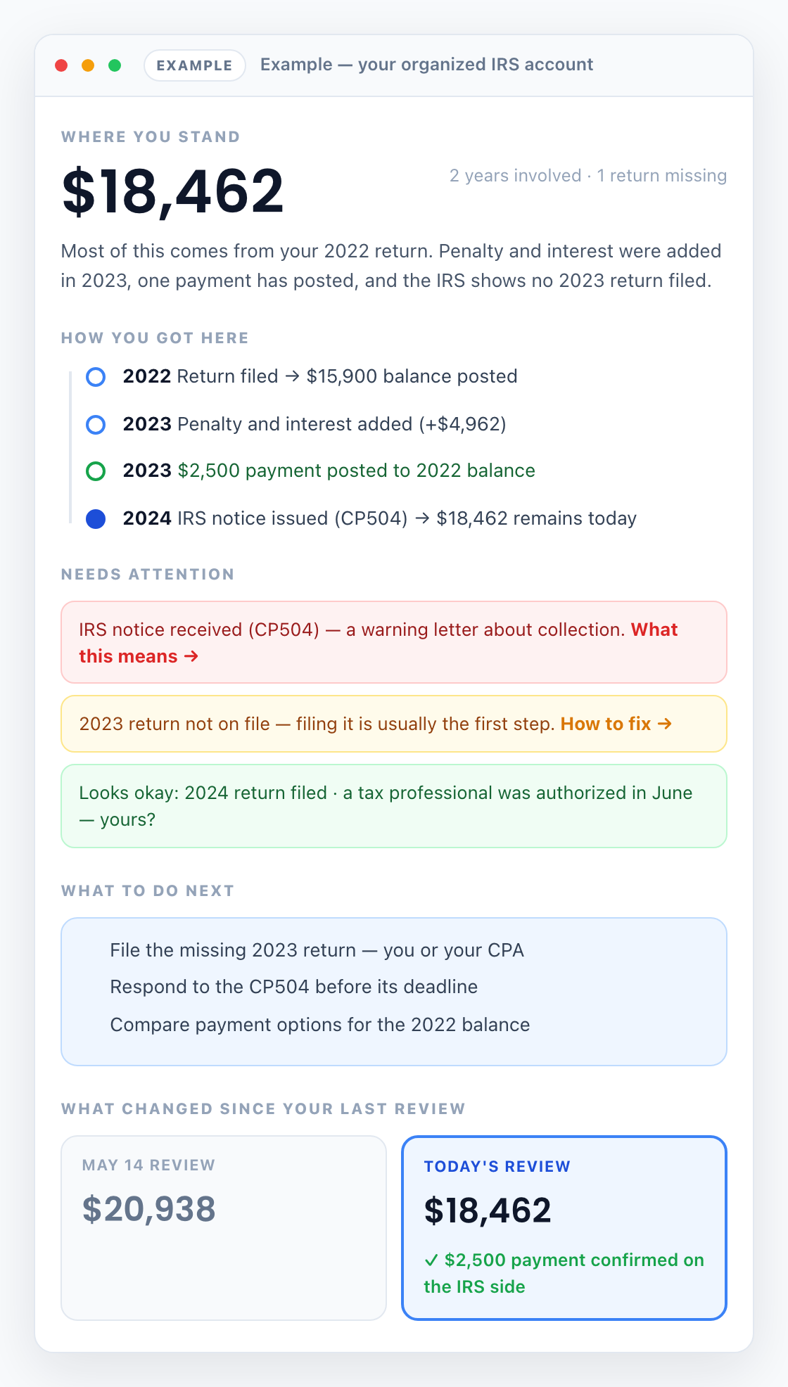 Example Brevitax client account story for tax professionals — organized IRS records and next steps.